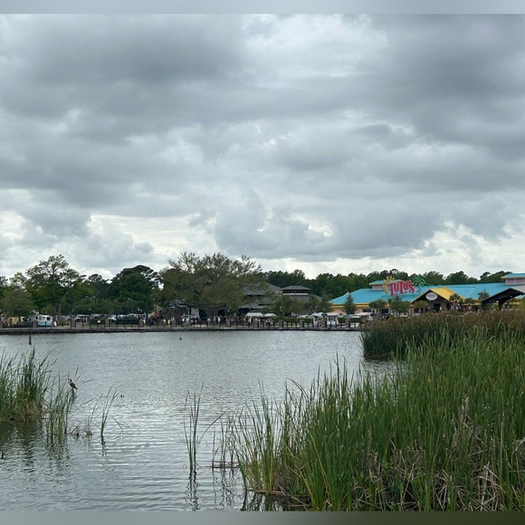 Meet your Posher, Sherri - Picture 1 of 1